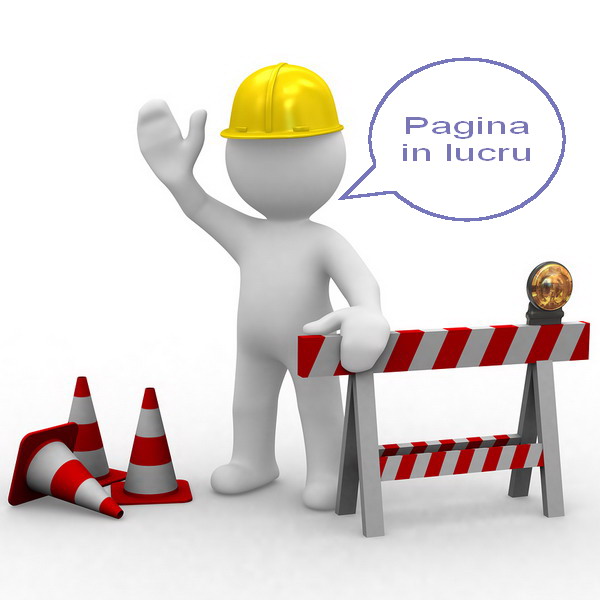 pagina in lucru